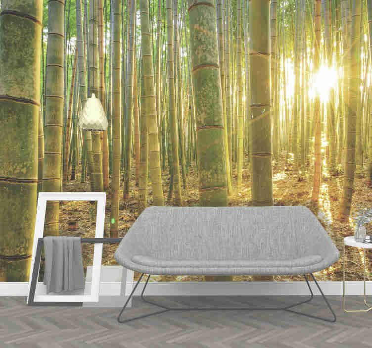 Bamboo Forest In Sunlight Zen Photo Wallpaper - Carta Da Parati Città , HD Wallpaper & Backgrounds