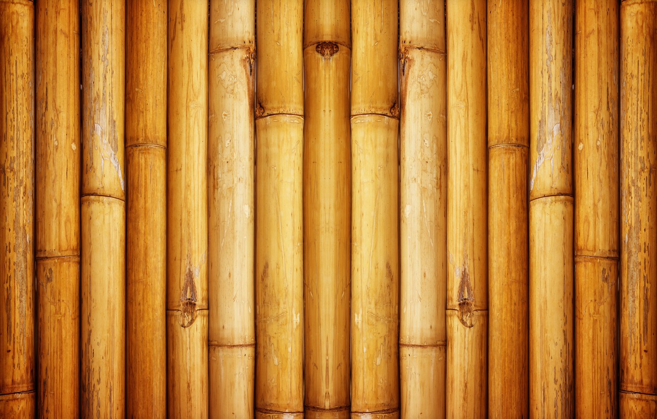 Photo Wallpaper Wall, Bamboo, Pattern - Brown Bamboo , HD Wallpaper & Backgrounds