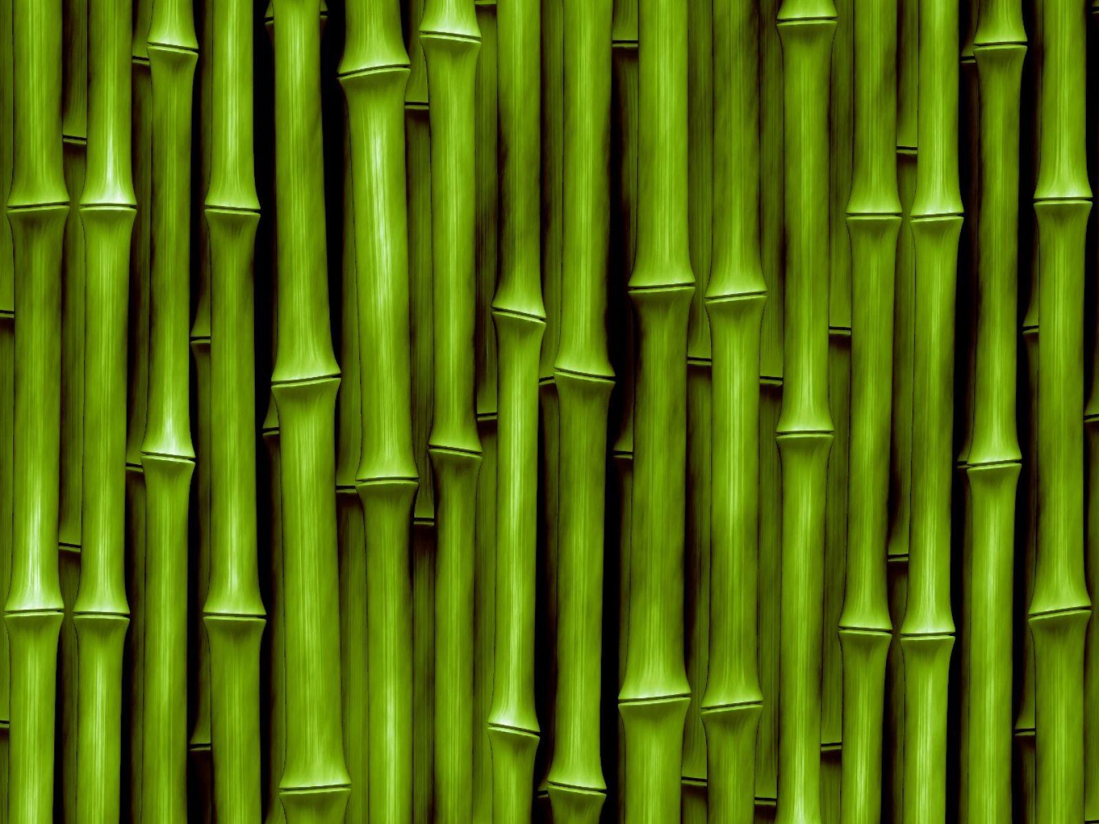 Chinese Bamboo Garden - Green Bamboo Texture , HD Wallpaper & Backgrounds