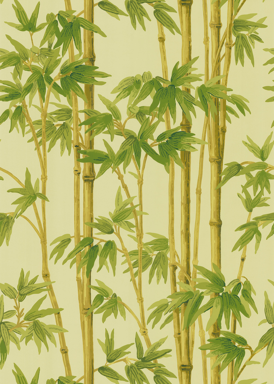 Bamboo Wallpaper Design , HD Wallpaper & Backgrounds