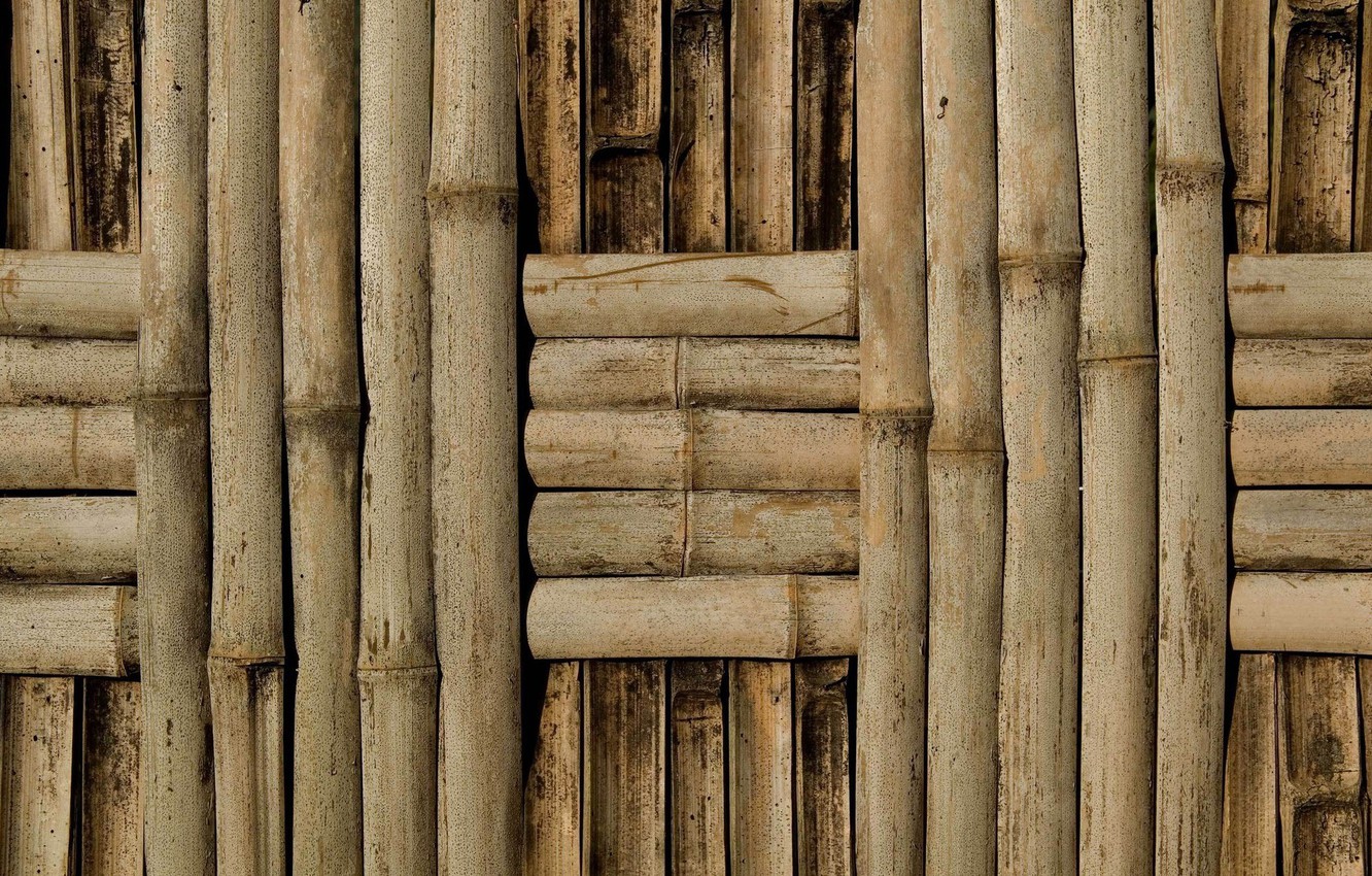 Photo Wallpaper Wall, Pattern, Bamboo - Bamboo Wallpaper For Walls , HD Wallpaper & Backgrounds
