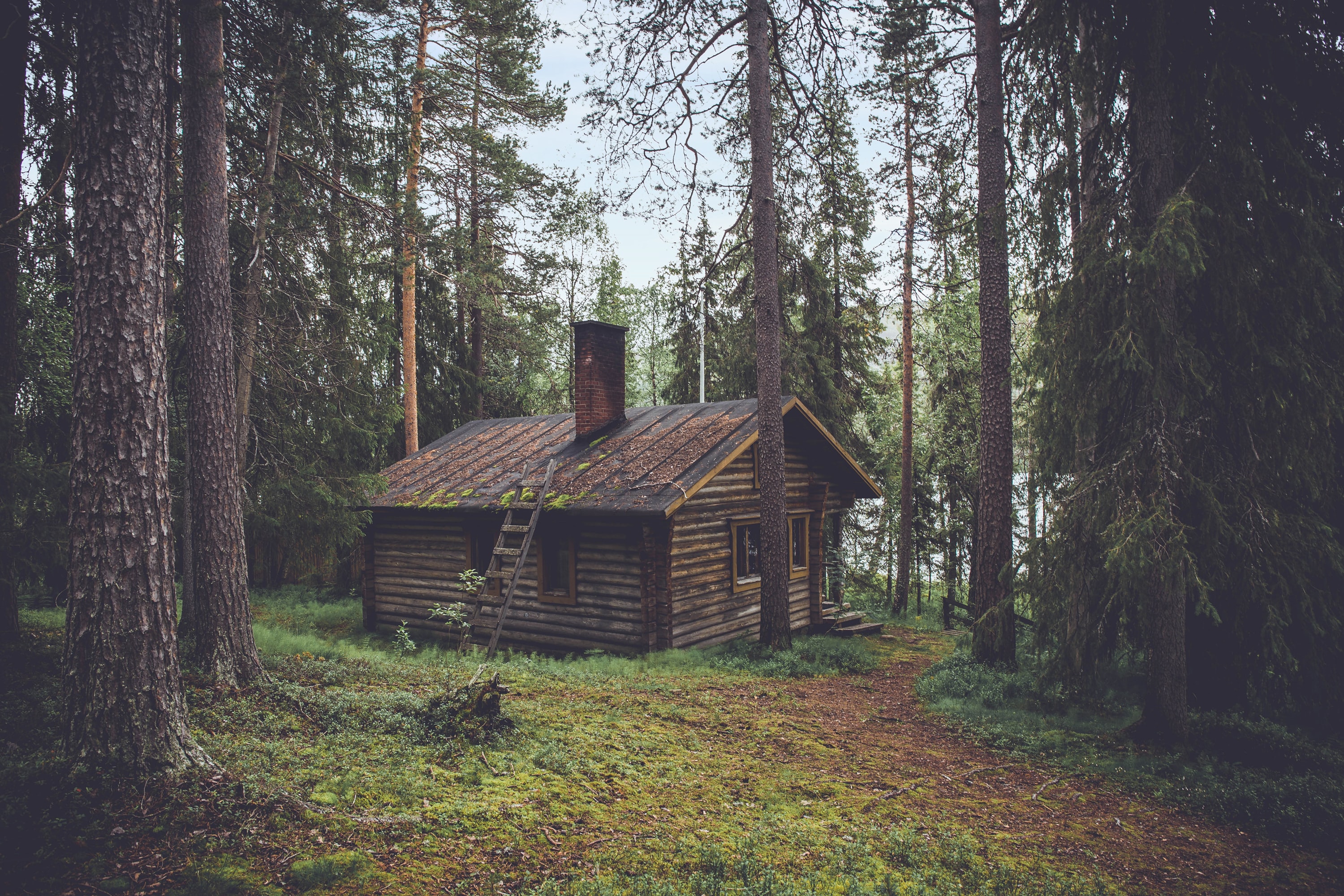 Wood Cabin In Forest , HD Wallpaper & Backgrounds