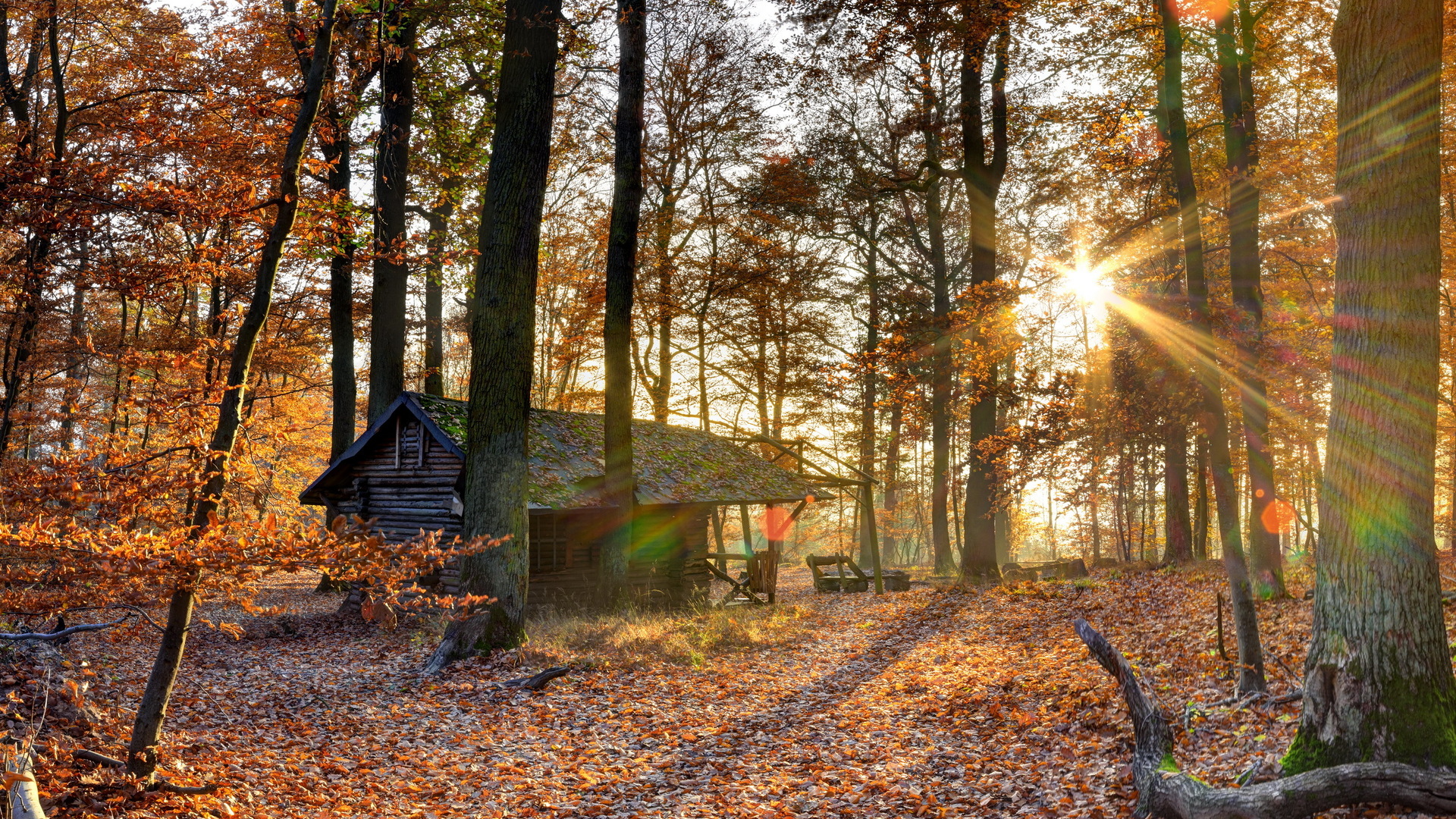 Wallpapers For Cabin » Resolution 1920x1080px , HD Wallpaper & Backgrounds