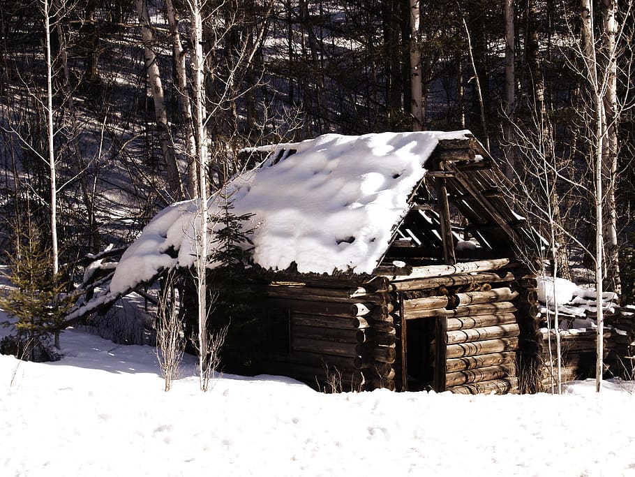 Brown Wooden House, Old Log Cabin, Winter, Snow, Nature, - Old Winter Cabin , HD Wallpaper & Backgrounds