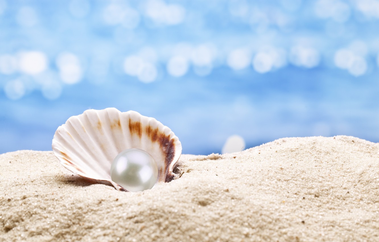 Photo Wallpaper Shell, Pearl, Sunshine, Beach, Sea, - Pearl Oyster Background , HD Wallpaper & Backgrounds