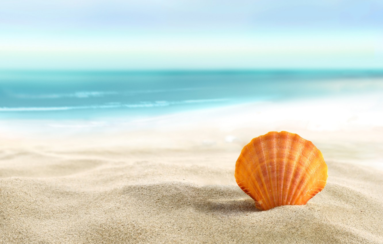 Photo Wallpaper Sand, Sea, Beach, Summer, The Sun, - Sand Beach , HD Wallpaper & Backgrounds