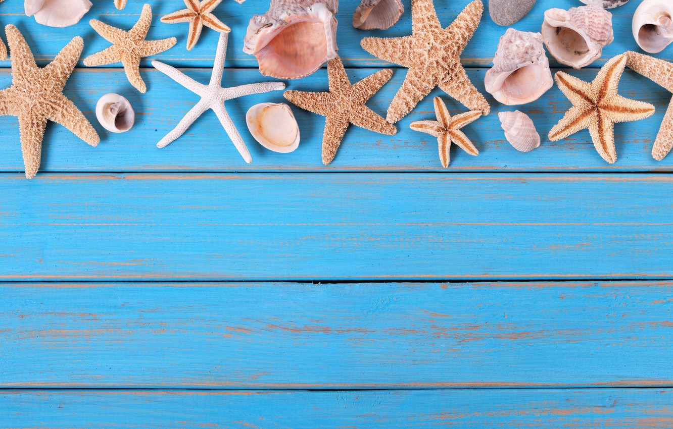 Photo Wallpaper Beach, Background, Board, Star, Shell, - Summer Starfish , HD Wallpaper & Backgrounds