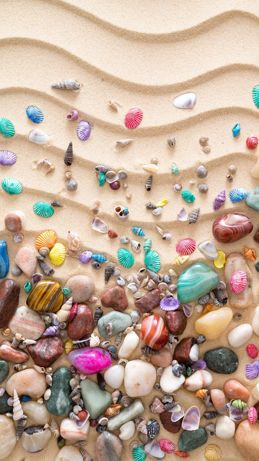 Seashell Beach Wallpaper Iphone , HD Wallpaper & Backgrounds