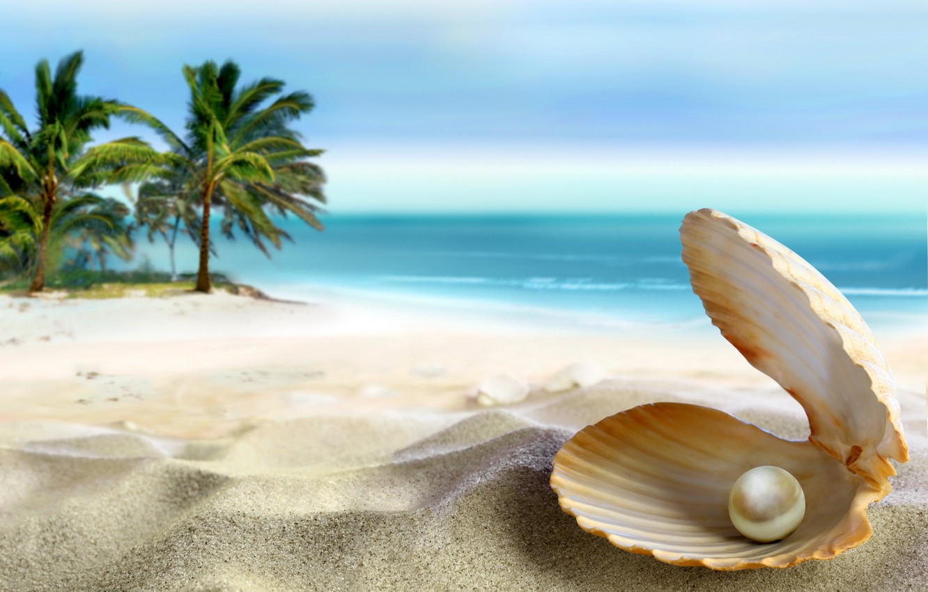Photo Wallpaper Sand, Sea, Beach, The Sun, Tropics, - Ocean Sea Shell Pearls , HD Wallpaper & Backgrounds