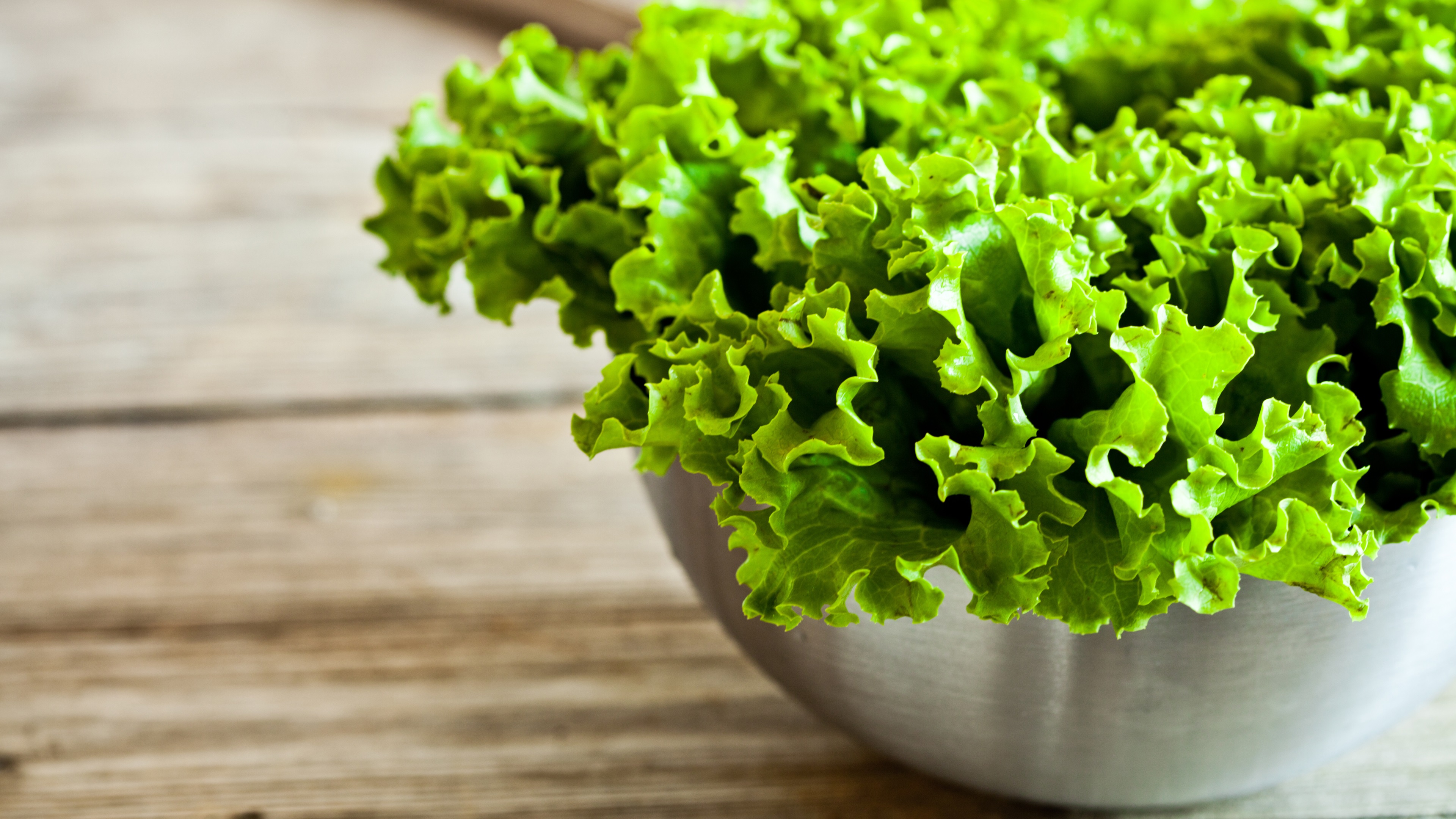 Wallpaper Bowl, Vegetable, Green Salad - Салат Из Салата , HD Wallpaper & Backgrounds