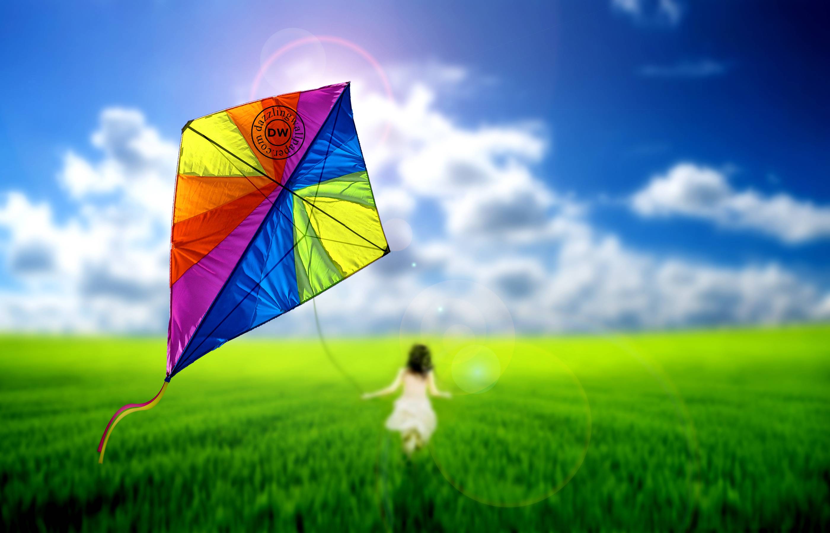 Kite Wallpapers - Kite Wallpaper Hd , HD Wallpaper & Backgrounds