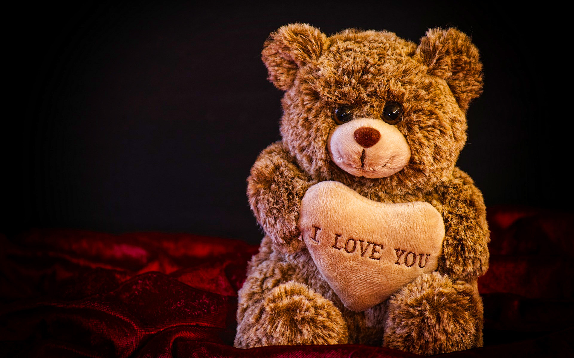 I Love You, 4k, Teddy Bear, Love Concepts, Soft Toys, - Happy Teddy Day 2020 , HD Wallpaper & Backgrounds