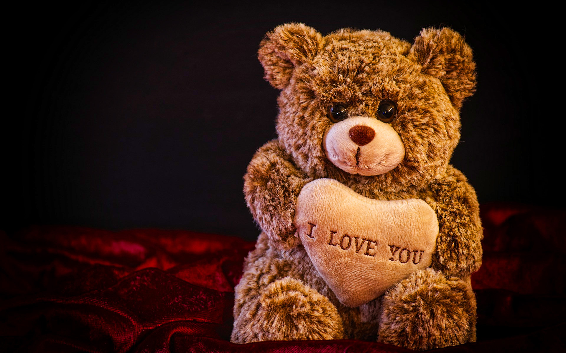 I Love You, 4k, Teddy Bear, Love Concepts, Soft Toys, - Happy Teddy Day 2020 , HD Wallpaper & Backgrounds