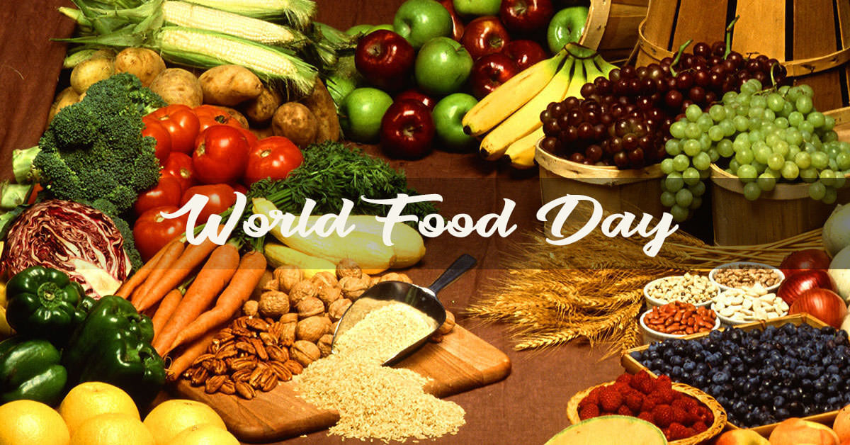 World Food Day October 16 Vegetables Grains Fruits , HD Wallpaper & Backgrounds