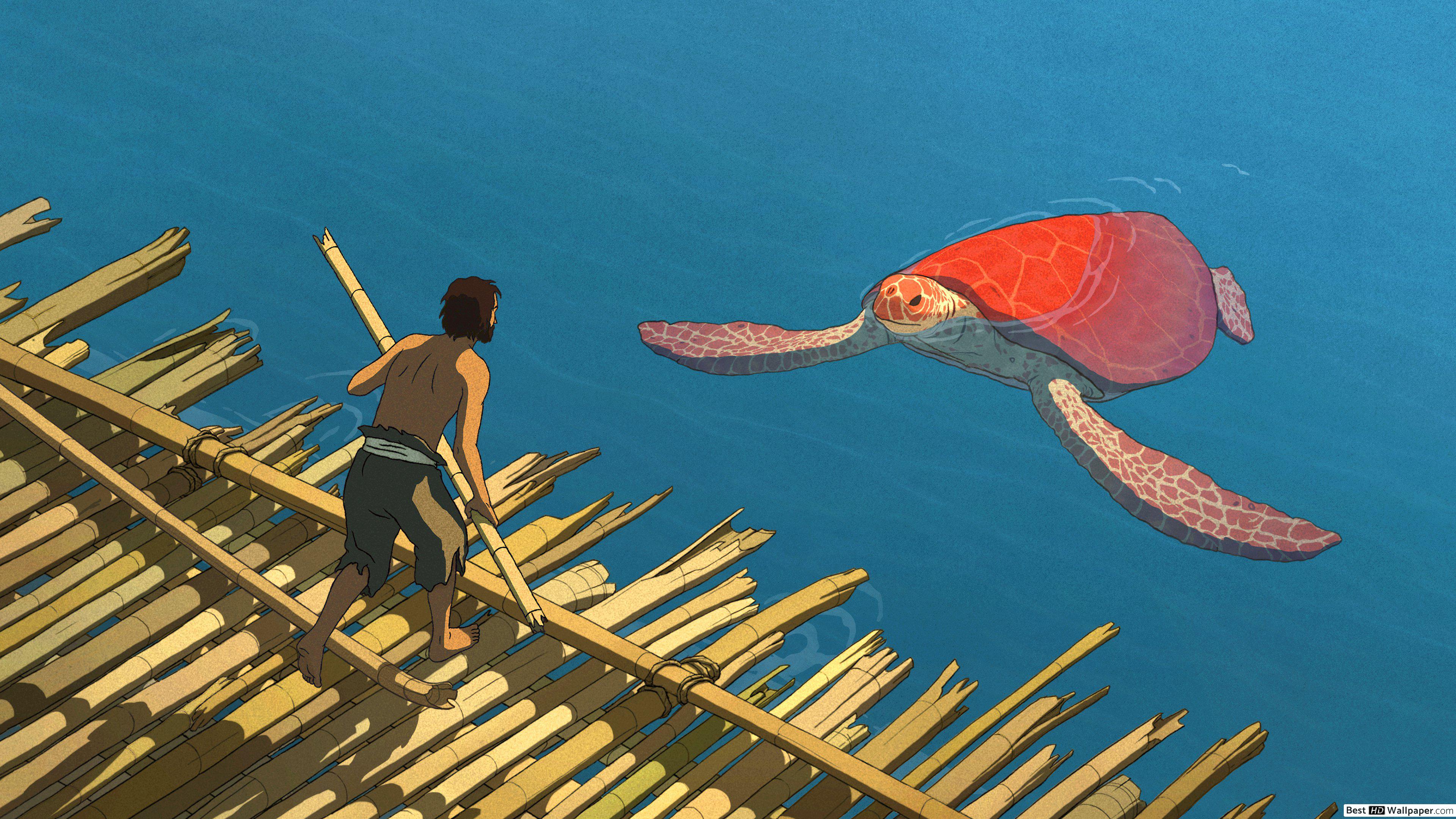 Red Turtle , HD Wallpaper & Backgrounds