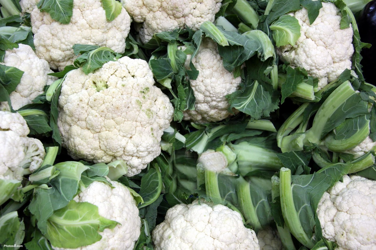 Vegetable Wallpaper Vegetable Wallpaper Vegetable Wallpaper - Cauliflower Wallpaper Hd , HD Wallpaper & Backgrounds