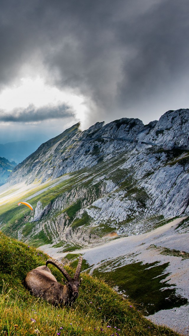 Mount Pilatus, 5k, 4k Wallpaper, Switzerland, Mountains, - Pilatus , HD Wallpaper & Backgrounds