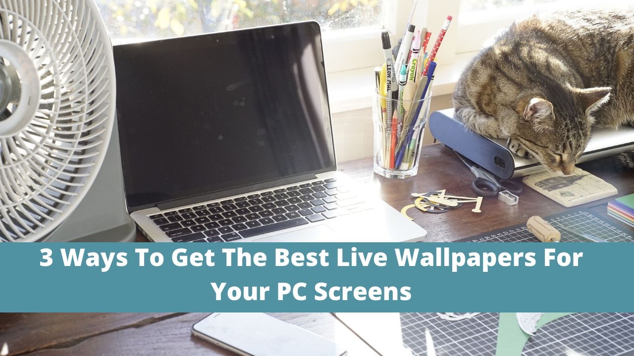 3 Ways To Get The Best Live Wallpapers For Pc Screens - Clases Online Con Maquillaje , HD Wallpaper & Backgrounds