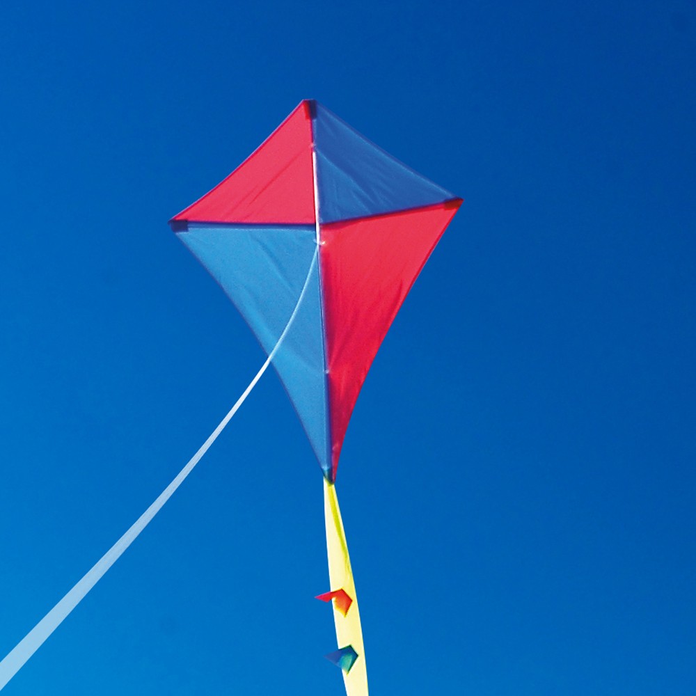 Kite Meaning In Hindi , HD Wallpaper & Backgrounds