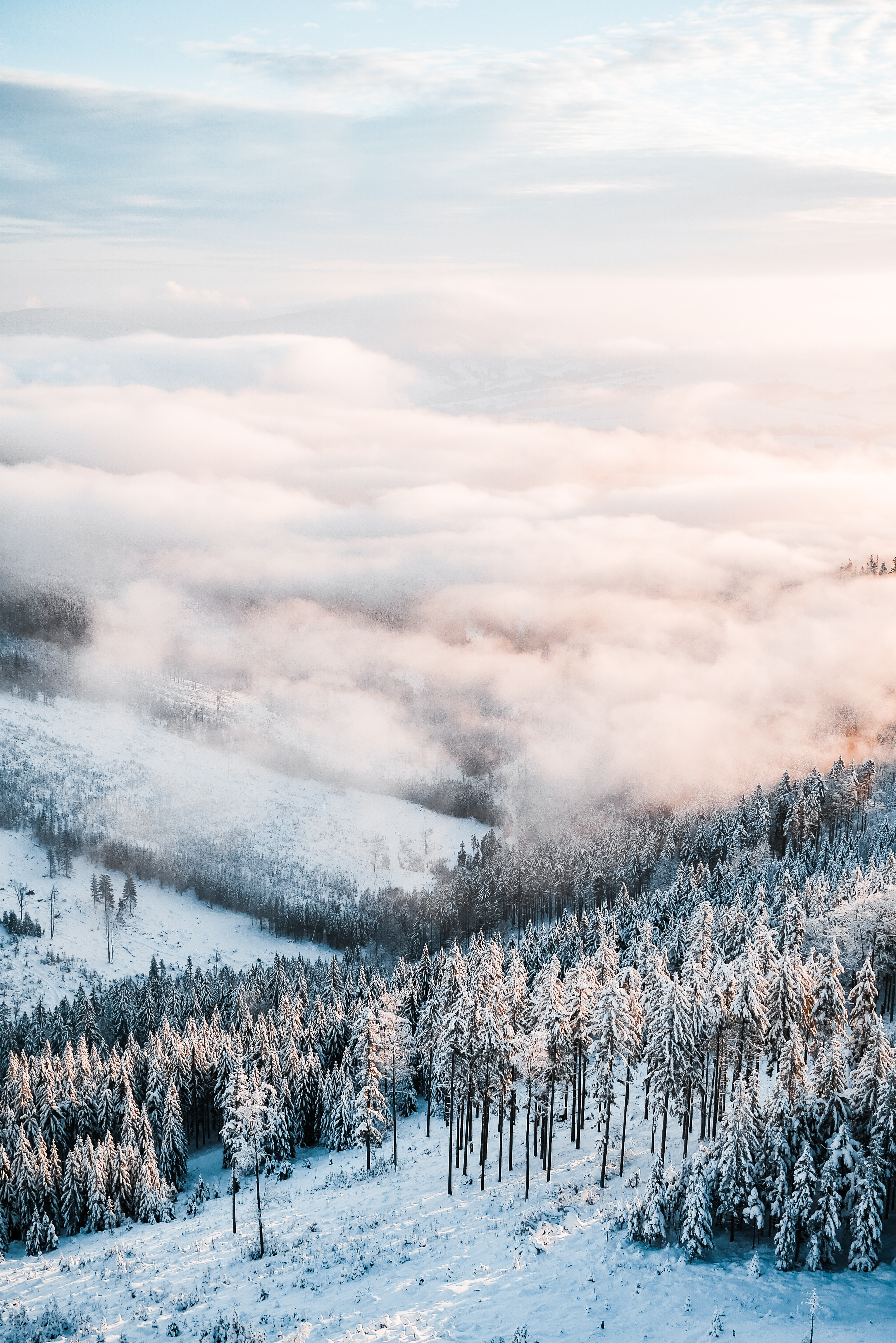 Vertical Winter Backgrounds , HD Wallpaper & Backgrounds