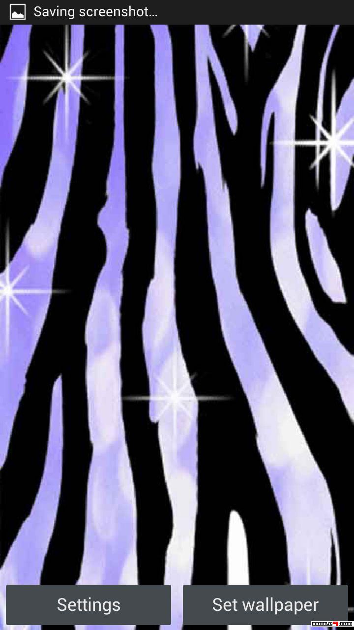 Zebra , HD Wallpaper & Backgrounds