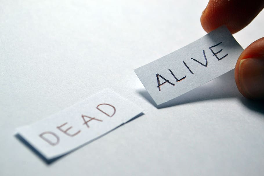 Alive, Dead, Opposite, Choice, Choose, Decision, Positive, - Dead Or Alive Word , HD Wallpaper & Backgrounds