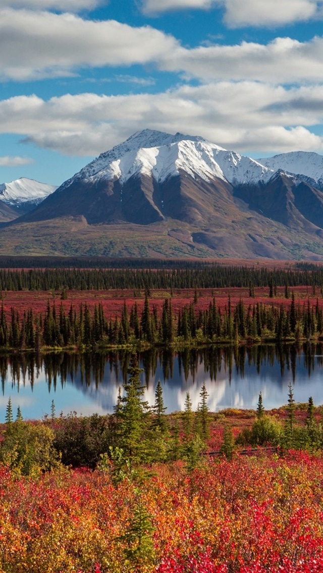 Denali State Park , HD Wallpaper & Backgrounds