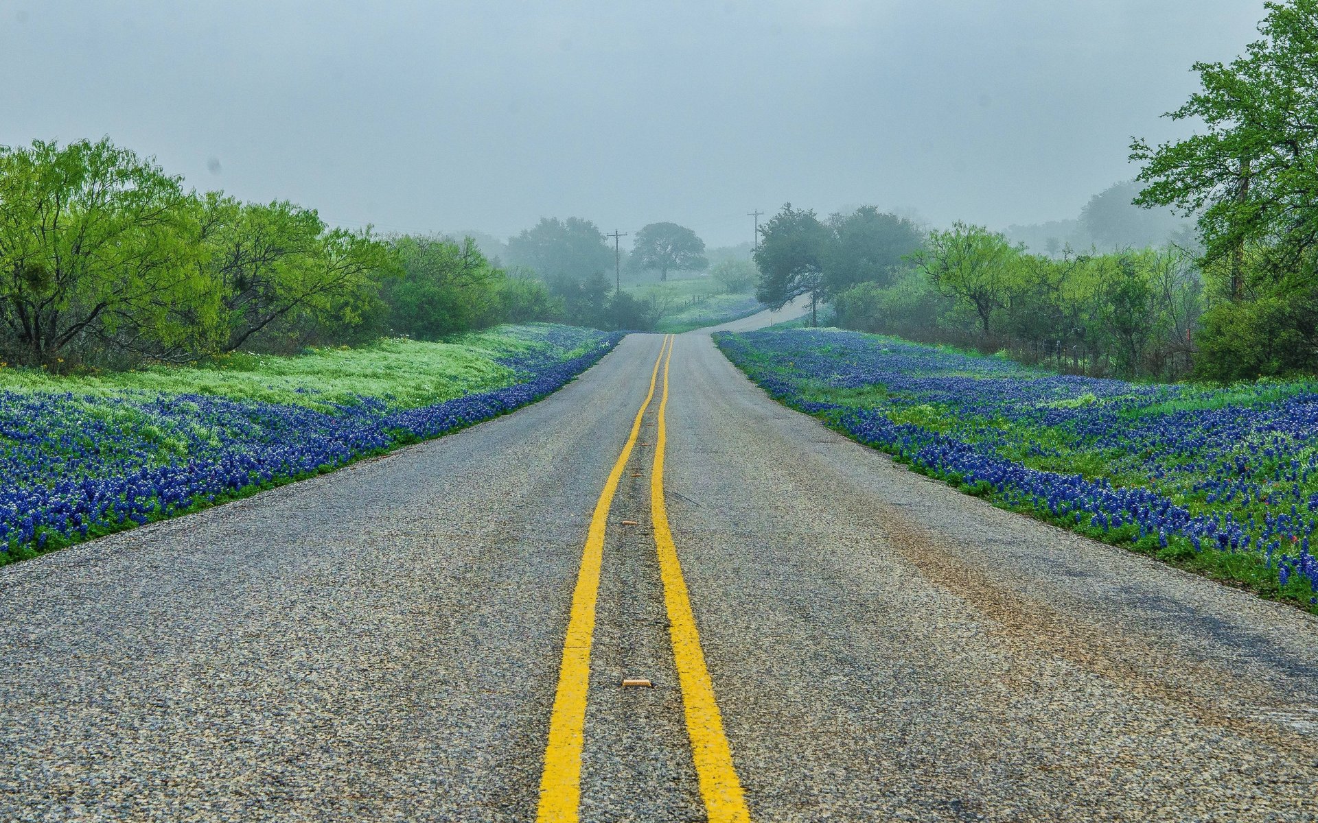 Texas Hill Country Fog Sun , HD Wallpaper & Backgrounds