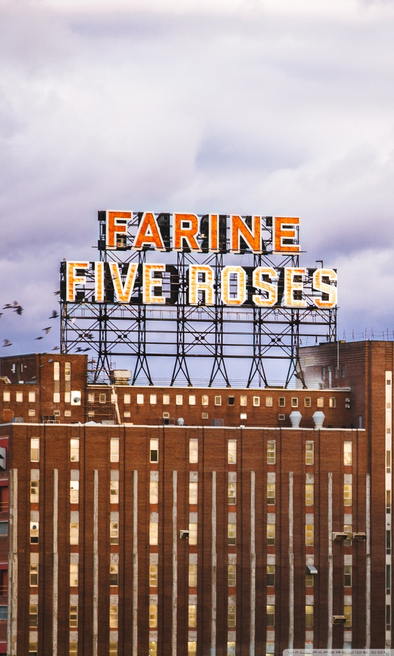 Farine Five Roses Montreal , HD Wallpaper & Backgrounds