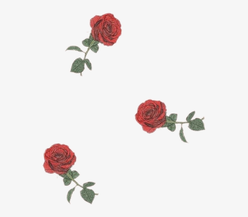 Roses Rosa Flor Flower Drawingflowers Tumblr Aesthetic - Rose Png Aesthetic  (#2923127) - HD Wallpaper & Backgrounds Download
