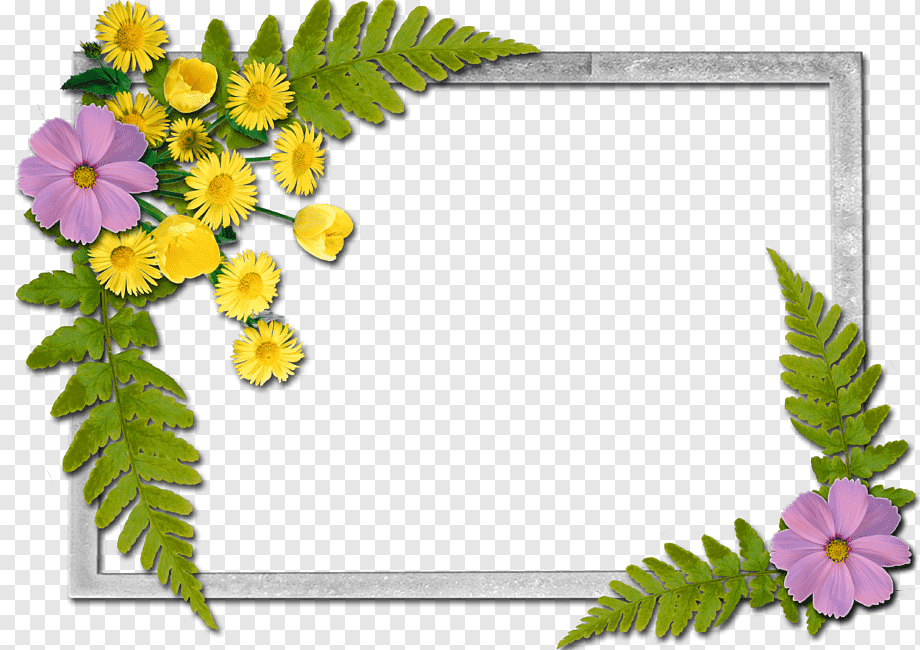 Frames Flower A Butterfly, Flowers Frame, Flower Arranging, - Butterfly And Flower Frame , HD Wallpaper & Backgrounds