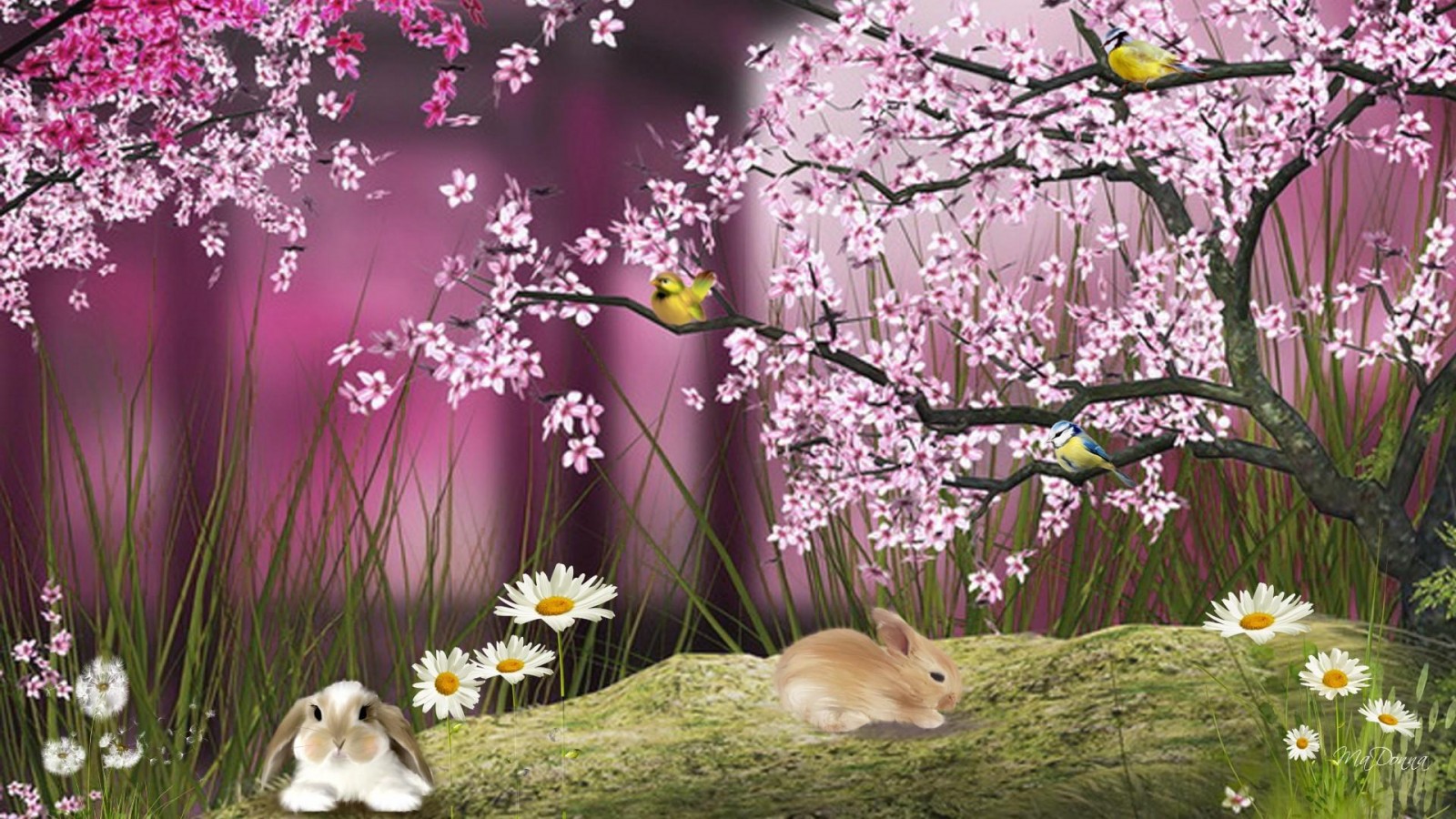 Fairy Tale Background Hd , HD Wallpaper & Backgrounds