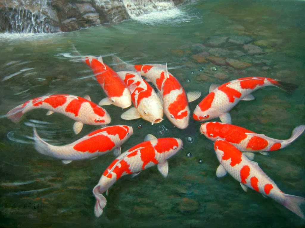 Koleksi Dp Bbm Bergerak Lucu Ikan Kocak Dan Gokil Puzzle - Group Of Koi Fish , HD Wallpaper & Backgrounds