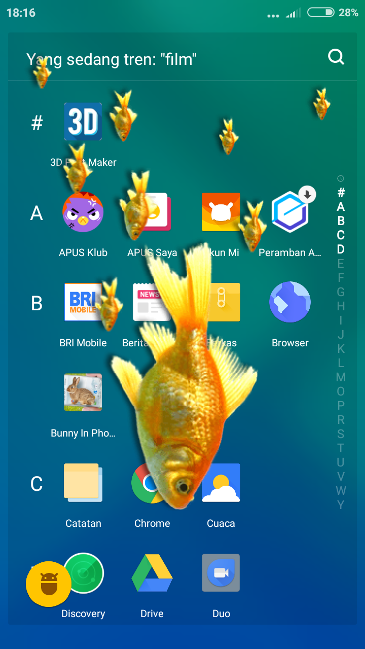 Goldfish , HD Wallpaper & Backgrounds