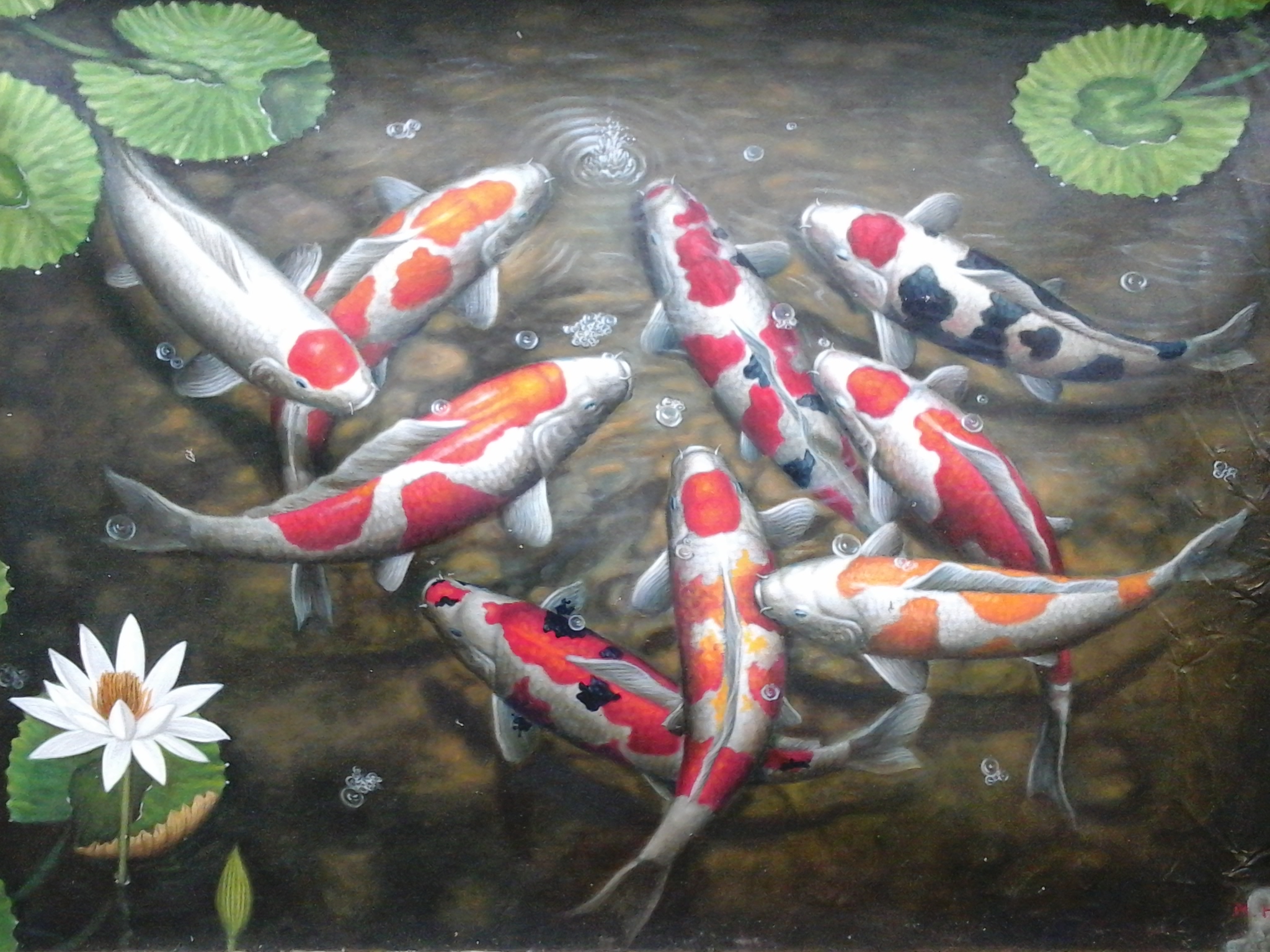 Lukisan Ikan Koi Hd , HD Wallpaper & Backgrounds