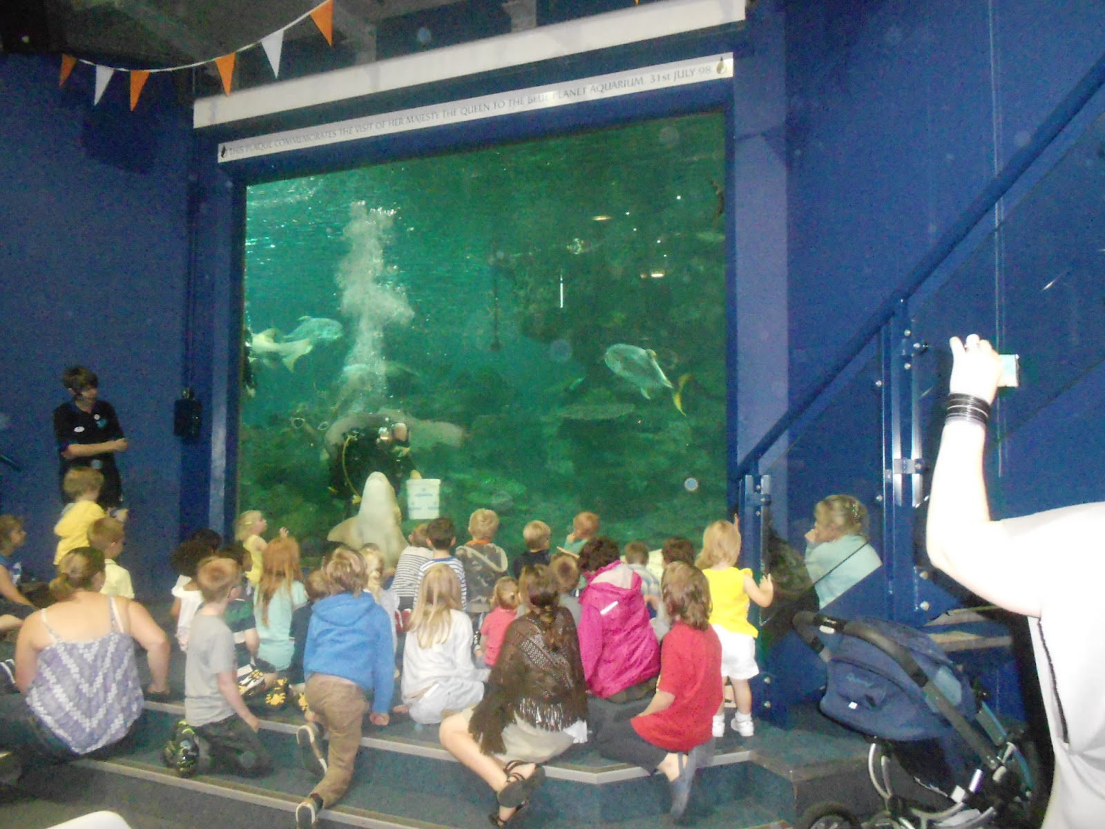 Download Wallpaper Ikan Bergerak Dalam Aquarium - Fun , HD Wallpaper & Backgrounds