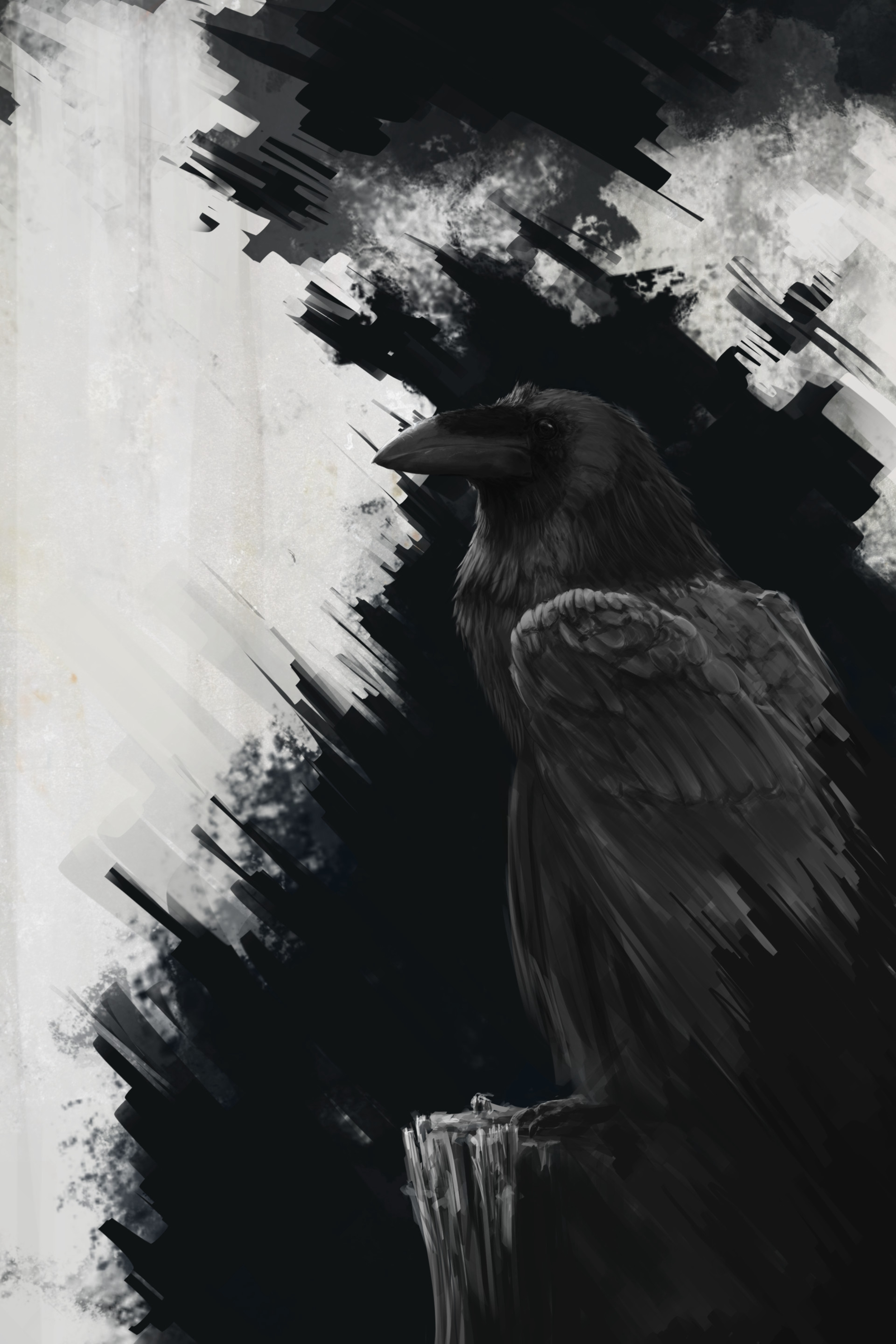 Wallpaper Raven, Bird, Art, Black, Lines - Raven Background , HD Wallpaper & Backgrounds