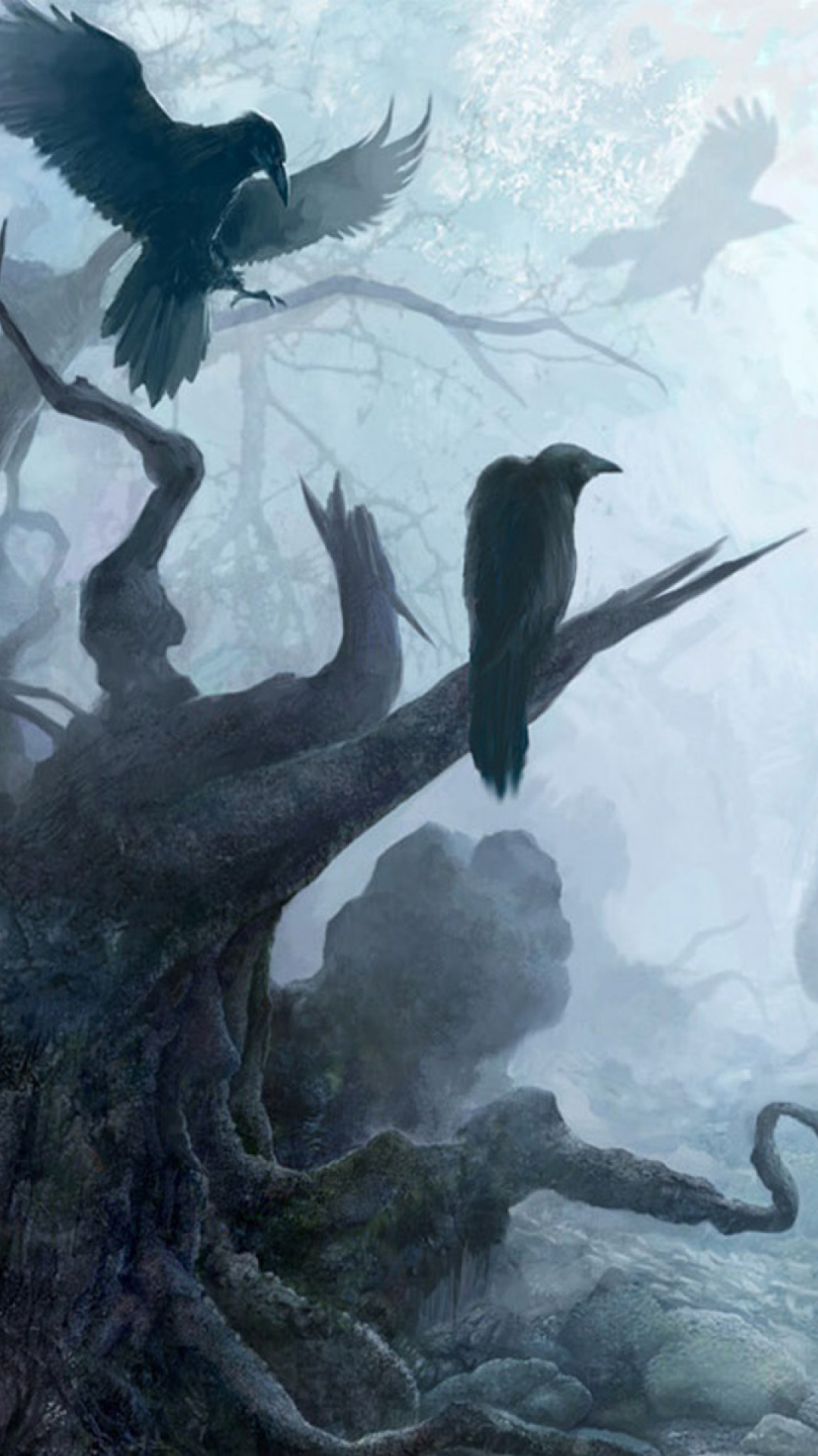 Raven, Raven, Bird, Crow, Illustration, Crow-like Bird, - Cursed Forest Fantasy Art , HD Wallpaper & Backgrounds