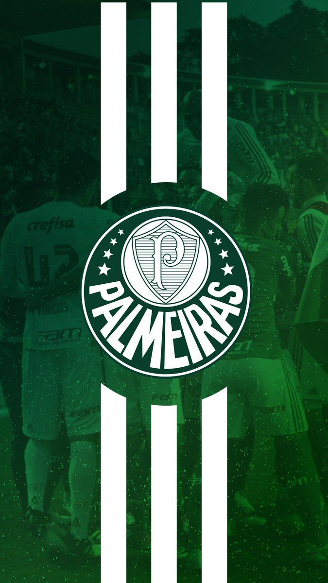 Papel De Parede Palmeiras , HD Wallpaper & Backgrounds