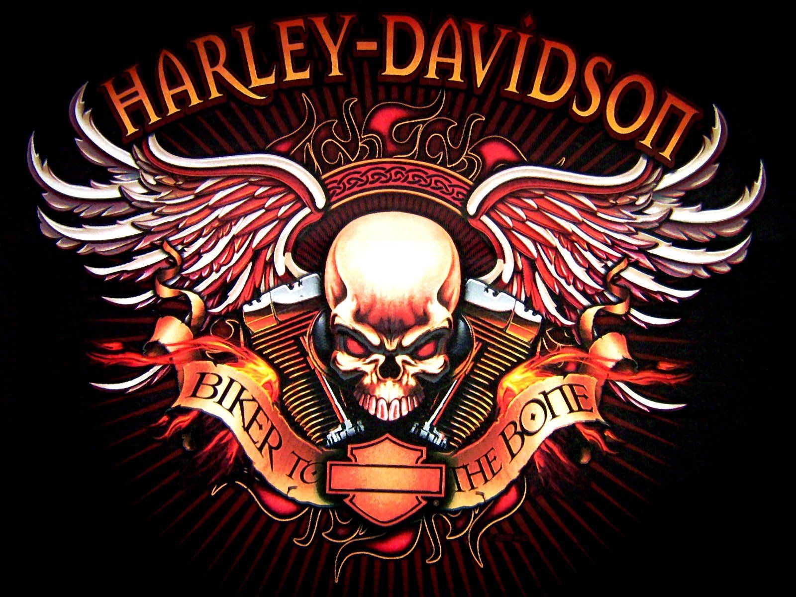 299 Harley Davidson Hd Wallpapers - Harley Davidson Logo , HD Wallpaper & Backgrounds