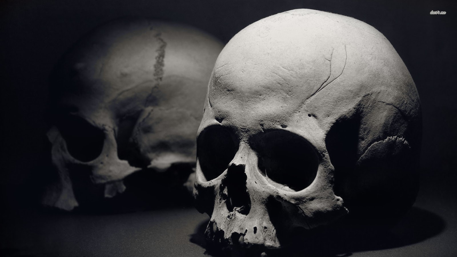 Gambar Tengkorak Lengkap - Background Horror Skull , HD Wallpaper & Backgrounds
