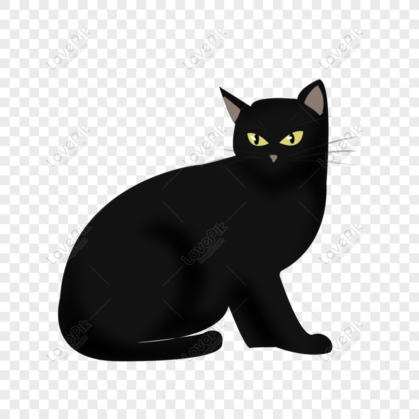 Halloween Hand Drawn Black Cat Cartoon Cute Horror - Black Cat Png Cartoon , HD Wallpaper & Backgrounds