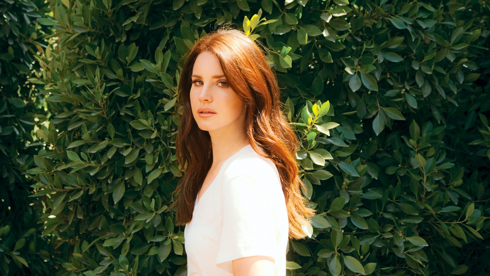 Lana Del Rey Desktop , HD Wallpaper & Backgrounds
