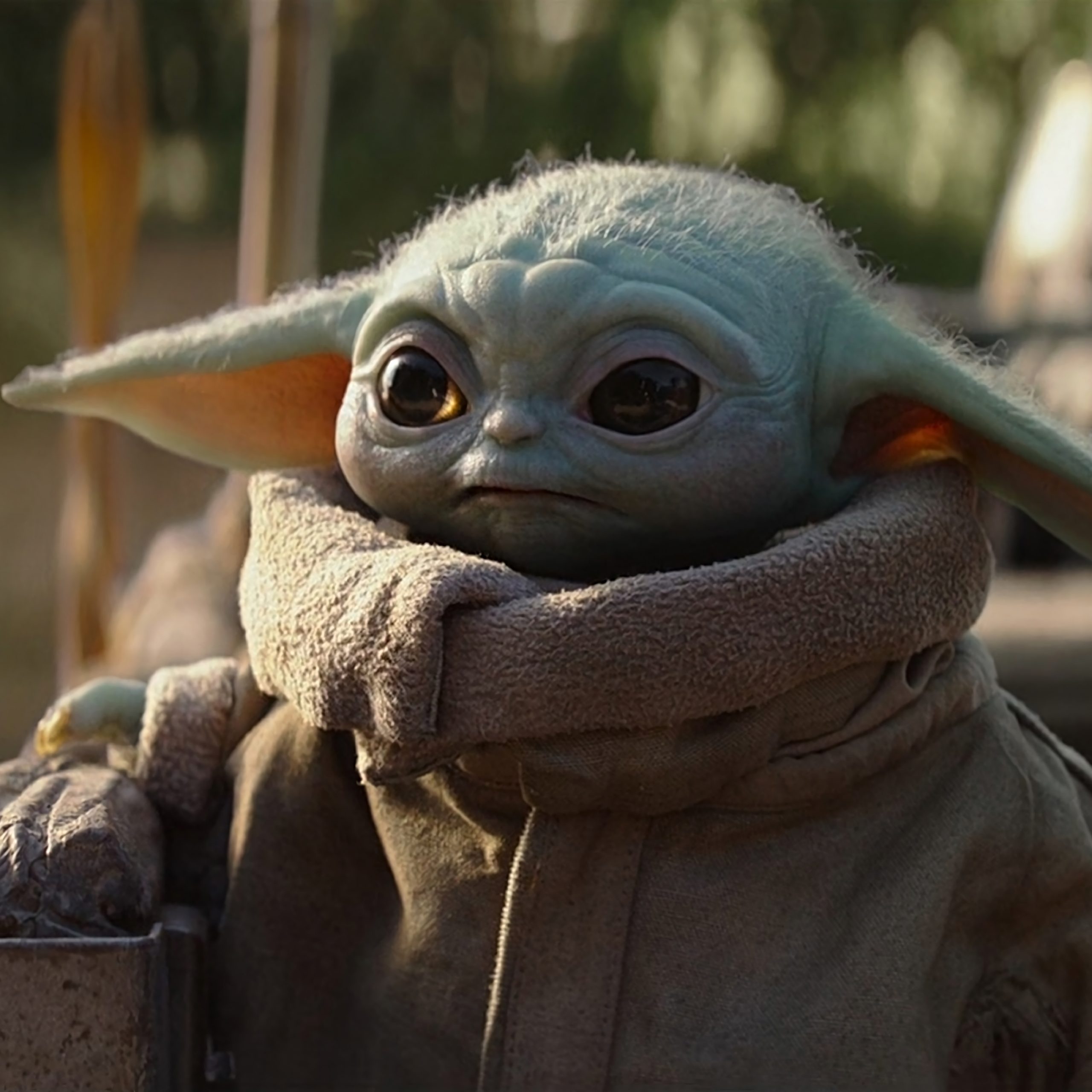 Baby Yoda , HD Wallpaper & Backgrounds