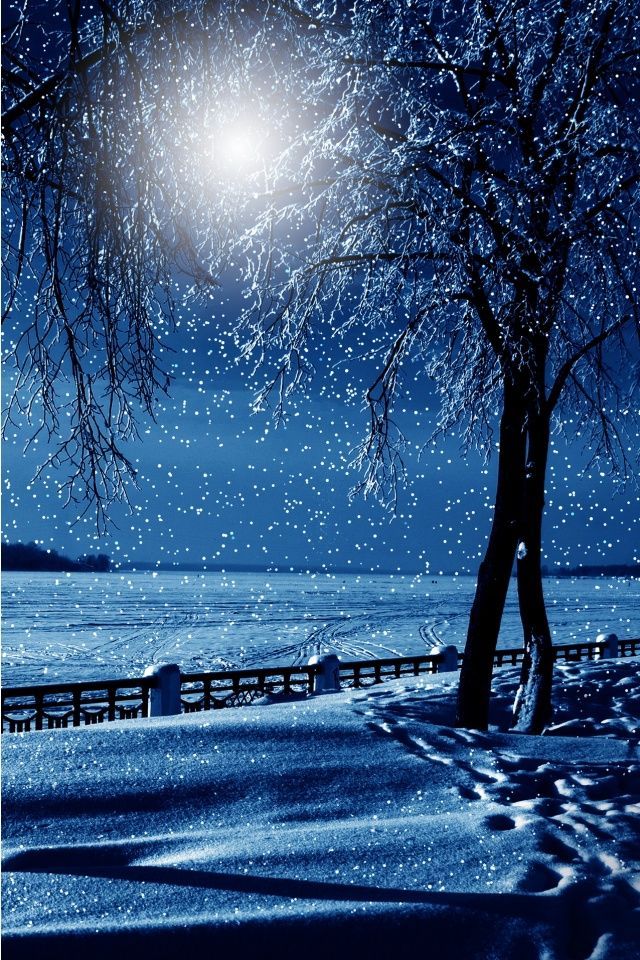 Wallpaper For Phone Download - Winter Nights , HD Wallpaper & Backgrounds