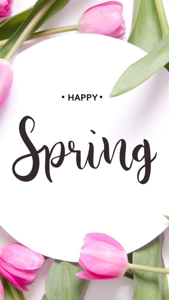 Happy March Flowers , HD Wallpaper & Backgrounds