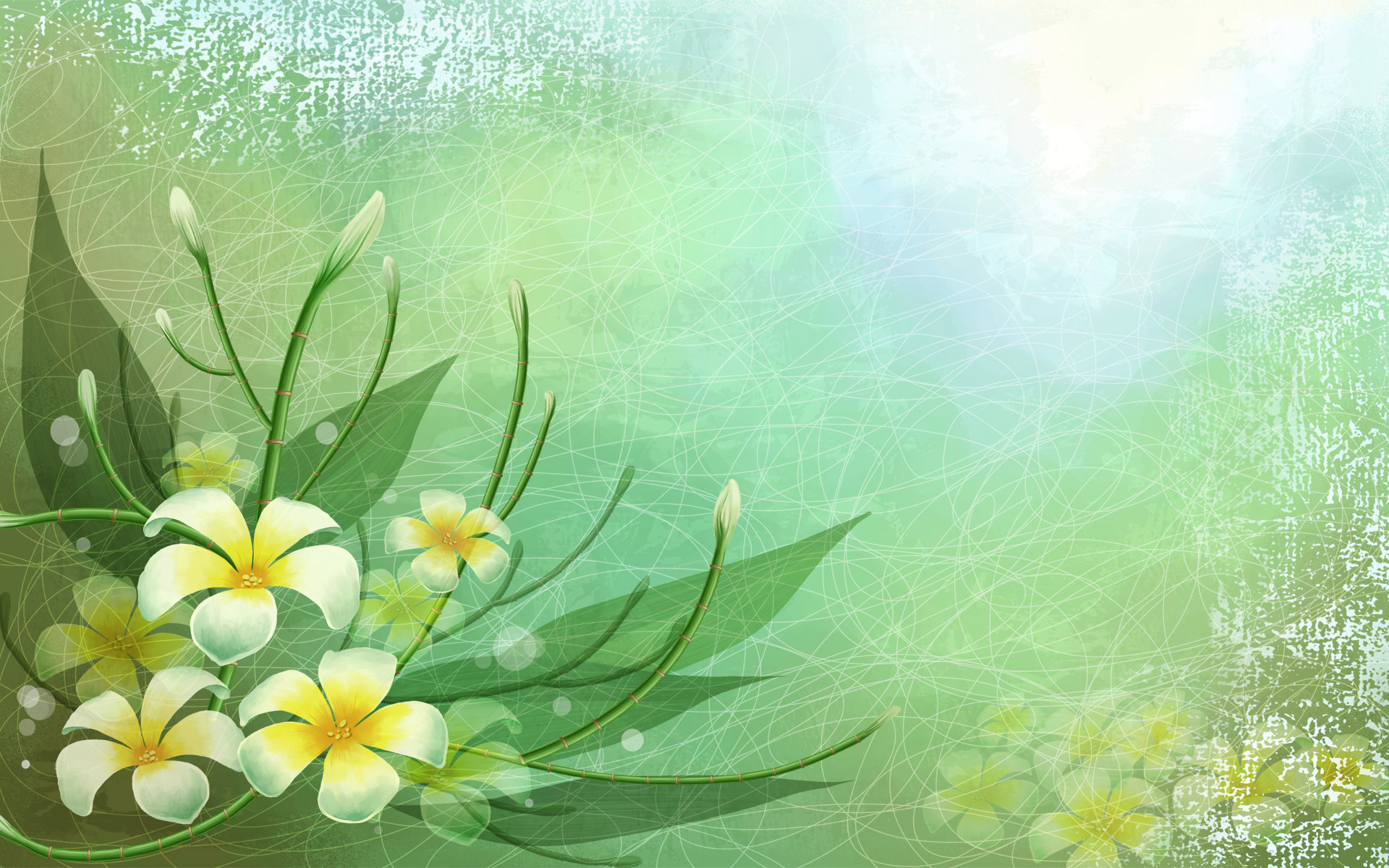 background-powerpoint-nature-green-2935040-hd-wallpaper