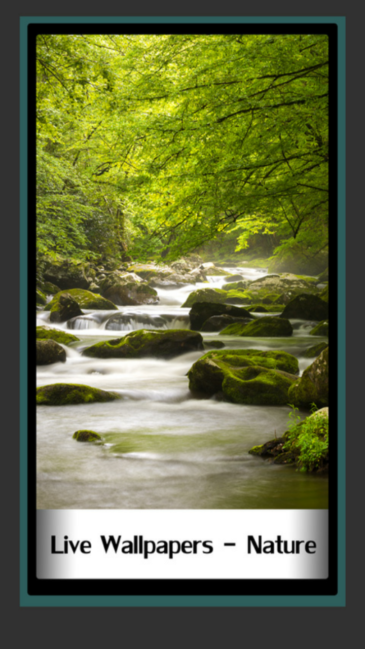 Live Wallpapers - Nature - Landscape Great Smoky Mountains National Park , HD Wallpaper & Backgrounds