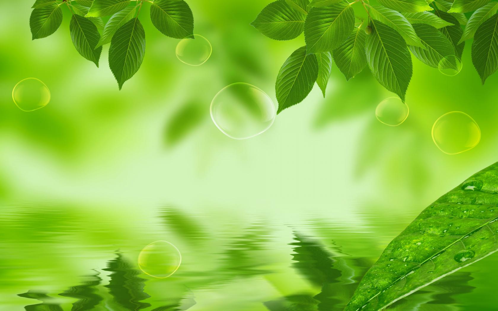 Green Leafy Background Hd , HD Wallpaper & Backgrounds