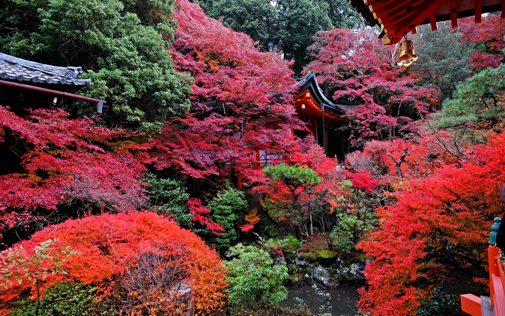 Wallpaper Temple, Autumn, Japan, Kyoto - Autumn Japan , HD Wallpaper & Backgrounds